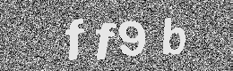 Verification image