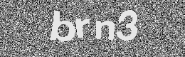 Verification image