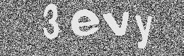 Verification image