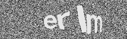 Verification image