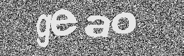Verification image