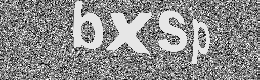 Verification image