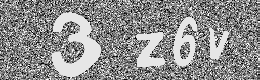 Verification image