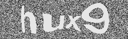 Verification image