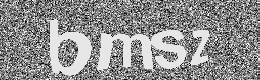 Verification image