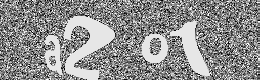 Verification image