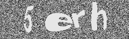 Verification image