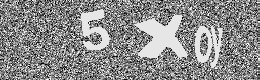 Verification image